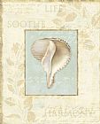 Shell Prints - Soothing Words Shells Iv by Lisa Audit