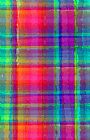 Louisa Knight Bright Plaid