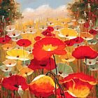 Lucas Santini Meadow Poppies Iv