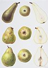 Margaret Ann Eden Six Pears