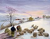 Margaret Loxton Feeding sheep in winter