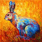 Marion Rose Jackrabbit