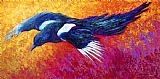 Marion Rose Magpie in Flight