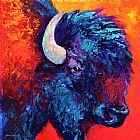 Marion Rose Bison Head Color Study II