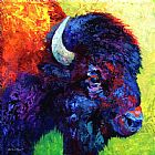 Marion Rose Bison Head Color Study III