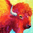 Marion Rose Bison Head Color Study IV