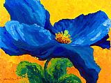 Marion Rose Blue Poppy