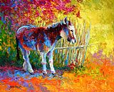 Marion Rose Burro And Bouganvillia