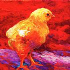 Marion Rose ChicFlic VI