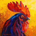 Marion Rose Cocky - Rooster