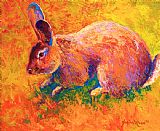 Marion Rose Cottontail I