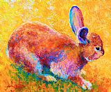 Marion Rose Cottontail II