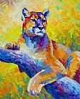 Marion Rose Cougar Portrait I