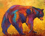 Marion Rose Daily Rounds - Black Bear