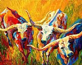 Marion Rose Dance Of The Longhorns