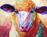 Marion Rose Dorset Ewe