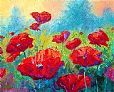 Marion Rose Field Of Red Poppies