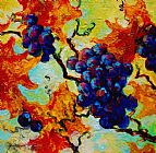 Marion Rose Grapes Mini