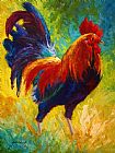 Marion Rose Hot Shot - Rooster