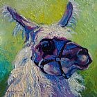 Marion Rose Lilloet - Llama