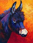 Marion Rose Little Jack - Burro