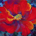 Marion Rose Passion - Red Poppy