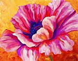 Marion Rose Pink Poppy