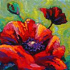 Marion Rose Poppy I
