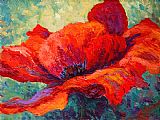 Marion Rose Red Poppy III