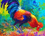 Marion Rose Scratchin - Rooster