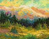 Marion Rose Summer High Country