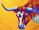 Marion Rose Texas Longhorn Cow Study