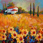 Marion Rose Tuscany Sunflowers