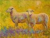 Marion Rose Warm Glow - Sheep Pair