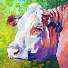 Marion Rose White Face Cow