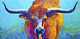 Marion Rose Widespread - Texas Longhorn