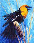 Marion Rose Yellow Headed Blackbird