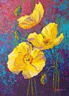 Marion Rose Yellow Poppies