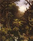 Martin Johnson Heade Prints - Brazilian Forest by Martin Johnson Heade