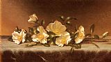 Martin Johnson Heade Prints - Cherokee Roses on a Light Gray Cloth by Martin Johnson Heade