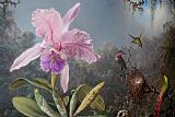 Martin Johnson Heade Prints - Cattleya Orchid And Three Hummingbirds by Martin Johnson Heade