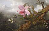 Martin Johnson Heade Prints - Cattleya Orchid, Two Hummingbirds, And a Beetle by Martin Johnson Heade