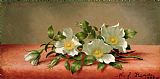 Martin Johnson Heade Cherokee Roses