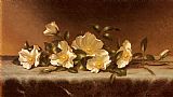 Martin Johnson Heade Prints - Cherokee Roses on a Light Gray Cloth by Martin Johnson Heade