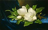 Martin Johnson Heade Prints - Giant Magnolias on a Blue Velvet Cloth Nga by Martin Johnson Heade