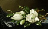 Martin Johnson Heade Prints - Magnolias on Blue Velvet Couch by Martin Johnson Heade