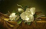 Martin Johnson Heade Prints - Magnolias on Gold Velvet Cloth by Martin Johnson Heade