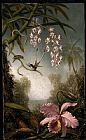 Martin Johnson Heade Prints - Orchids And Spray Orchids with Hummingbird by Martin Johnson Heade