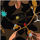 Mary Calkins Hazel's Delight II