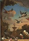 Classical Prints - Classical Garden Landscape with a Mallard, a Golden Eagle, And Other Wild Fowl in Flight by Melchior de Hondecoeter